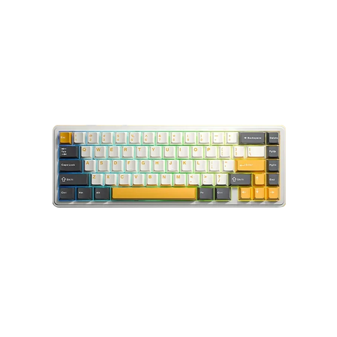 Epomaker x AULA F65 Wireless Mechanical Keyboard – 65% RGB – Gentechx