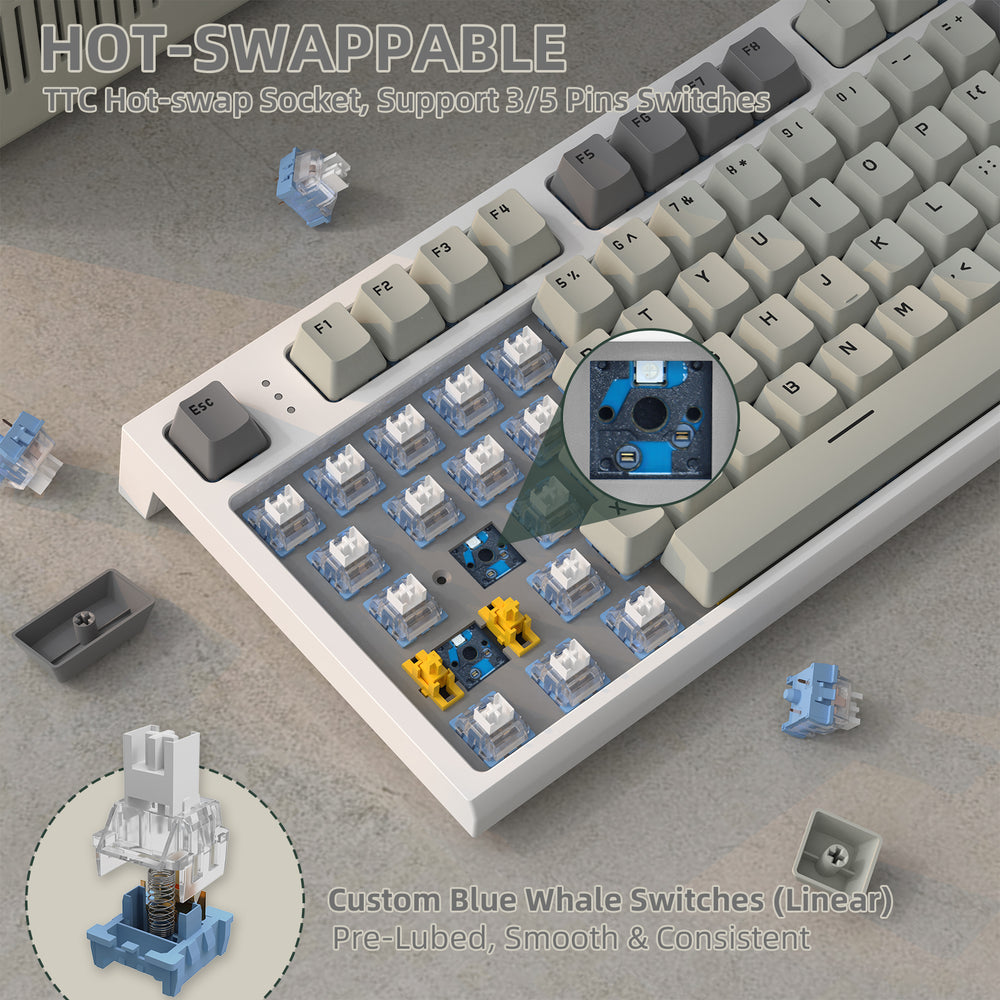 K86 - Gentechx