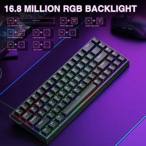WIN 68HE - Gentechx
