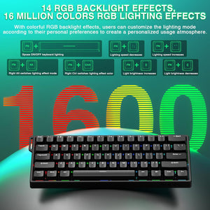 WIN 60HE - Gentechx