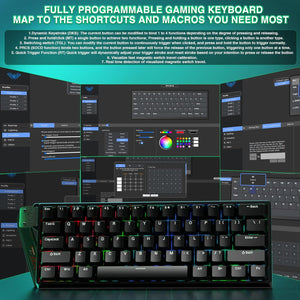 WIN 60HE - Gentechx