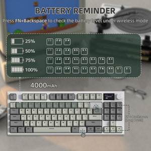 K86 - Gentechx